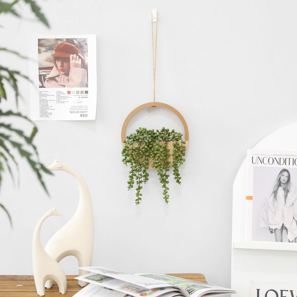🌿✨ Hanging Succulent Wall Garden Decor 🪴💫