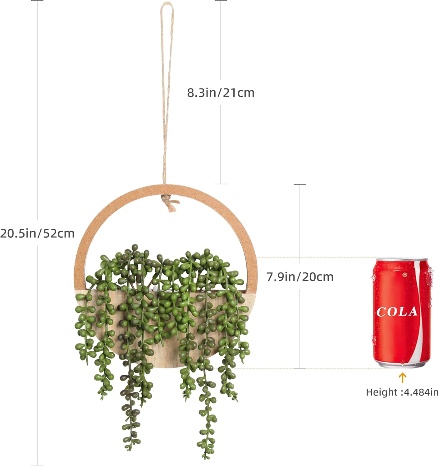 🌿✨ Hanging Succulent Wall Garden Decor 🪴💫