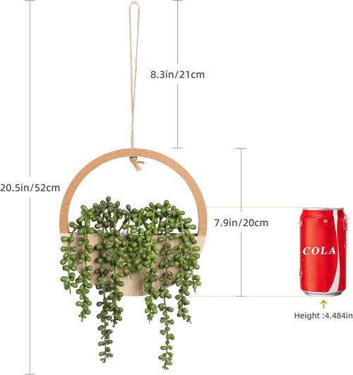 🌿✨ Hanging Succulent Wall Garden Decor 🪴💫