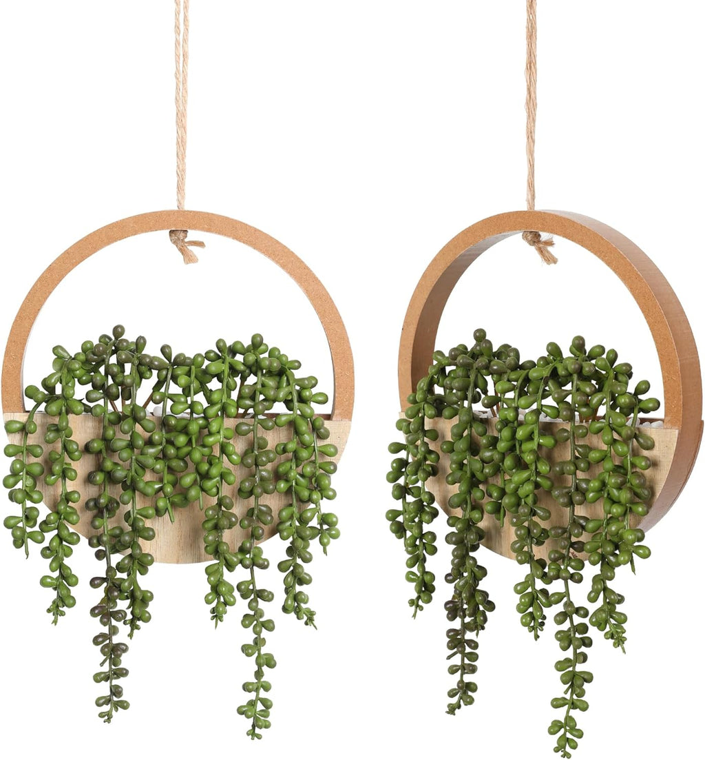 🌿✨ Hanging Succulent Wall Garden Decor 🪴💫