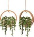 🌿✨ Hanging Succulent Wall Garden Decor 🪴💫