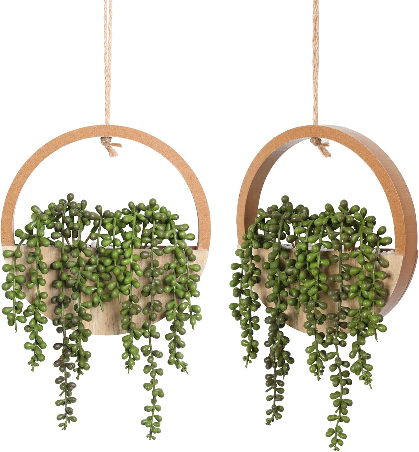 🌿✨ Hanging Succulent Wall Garden Decor 🪴💫