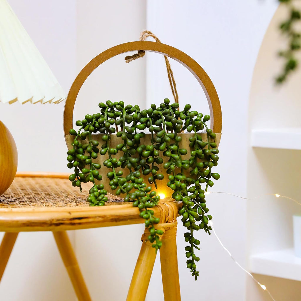 🌿✨ Hanging Succulent Wall Garden Decor 🪴💫